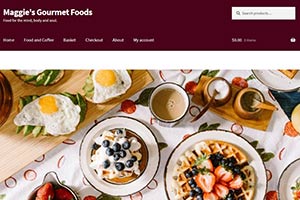 a basic   commerce website I designed.